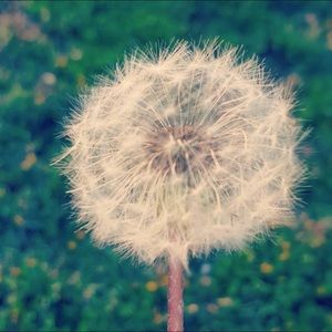 Meet your Posher, Jayda